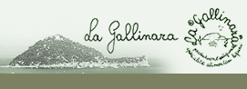 Giovanni Perna Logo
