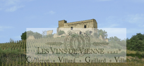 vinsdvienne